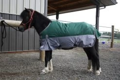 TuffRider 1200D Miniature Horse Turnout Blanket - 200 Gms