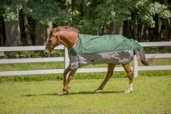 TuffRider 1200D Miniature Horse Turnout Blanket - 200 Gms -Equestrian Discount Store 100117 3 25134.1673620563