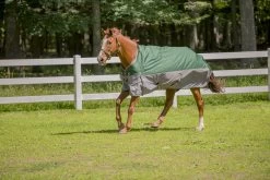 TuffRider 1200D Miniature Horse Turnout Blanket - 200 Gms -Equestrian Discount Store 100117 4 84305.1673620573
