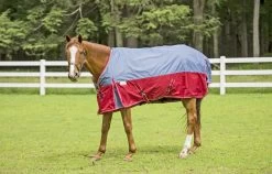 TuffRider Bonum 600D Rip Stop Medium Weight Turnout Blanket 220g