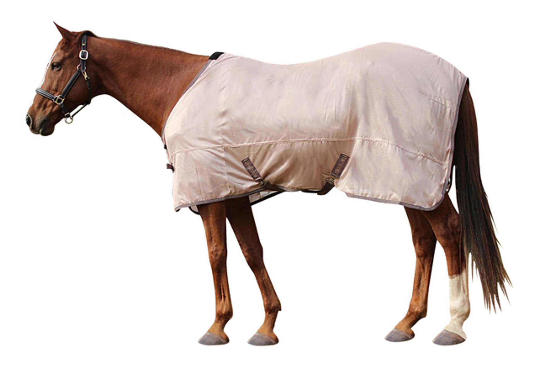 TuffRider Comfy Mesh Pony Fly Sheet 1 TuffRider Comfy Mesh Pony Fly Sheet