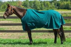 TuffRider Bonum 1200D Coolmax Lightweight 3 Season Turnout Sheet