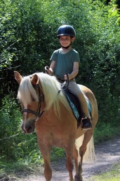 TuffRider Children's Taylor Short Sleeve T-Shirt 10 TuffRider Children's Taylor Short Sleeve T-Shirt -Equestrian Discount Store 100973 126 duck green 43236.1655575671