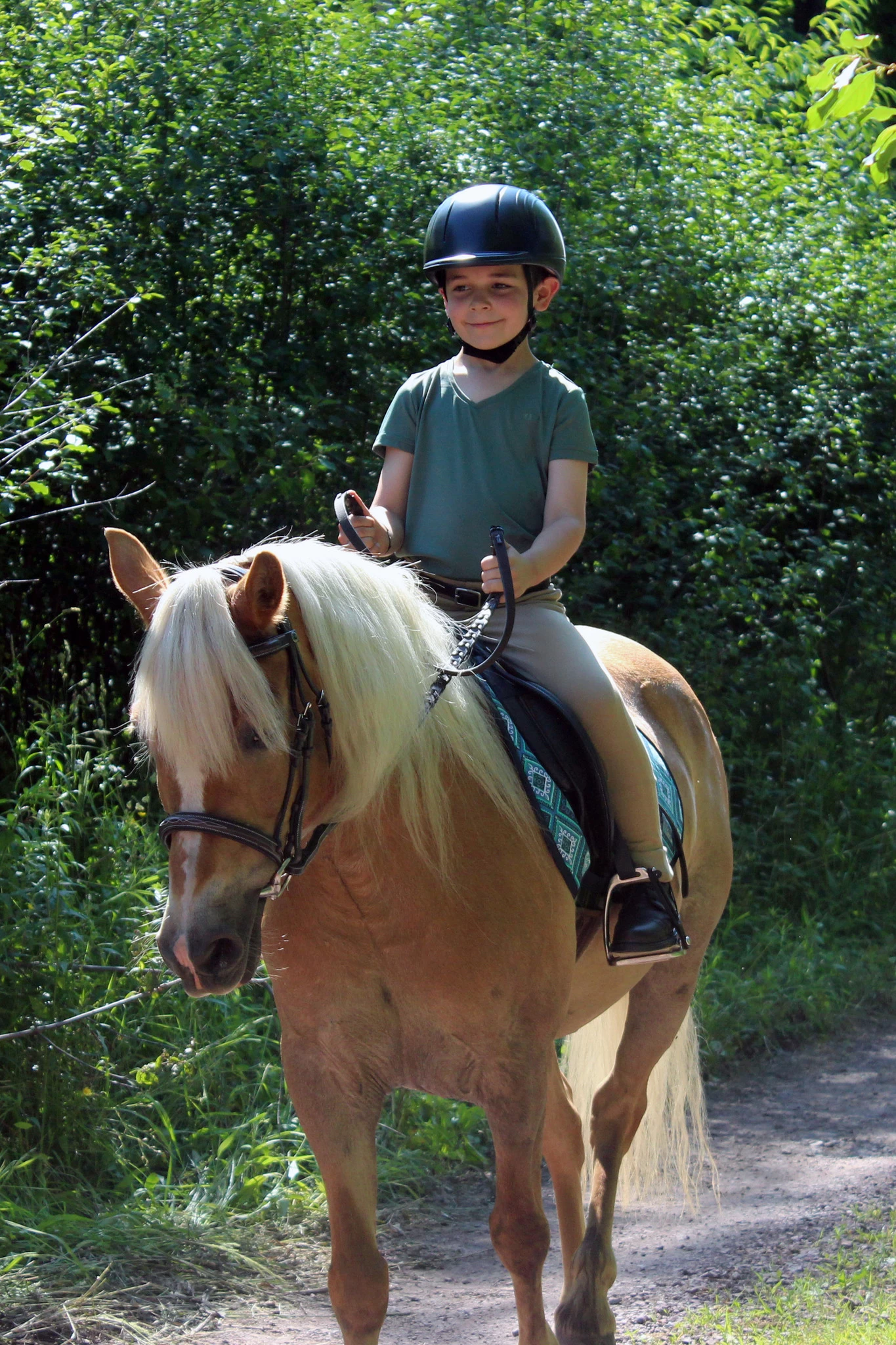 TuffRider Children's Taylor Short Sleeve T-Shirt 5 TuffRider Children's Taylor Short Sleeve T-Shirt - Image 5