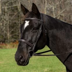 HDR Mono Crown Bridle With Wide Padded Noseband