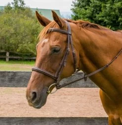 HDR Kushy Raised Fancy Stitched Bridle