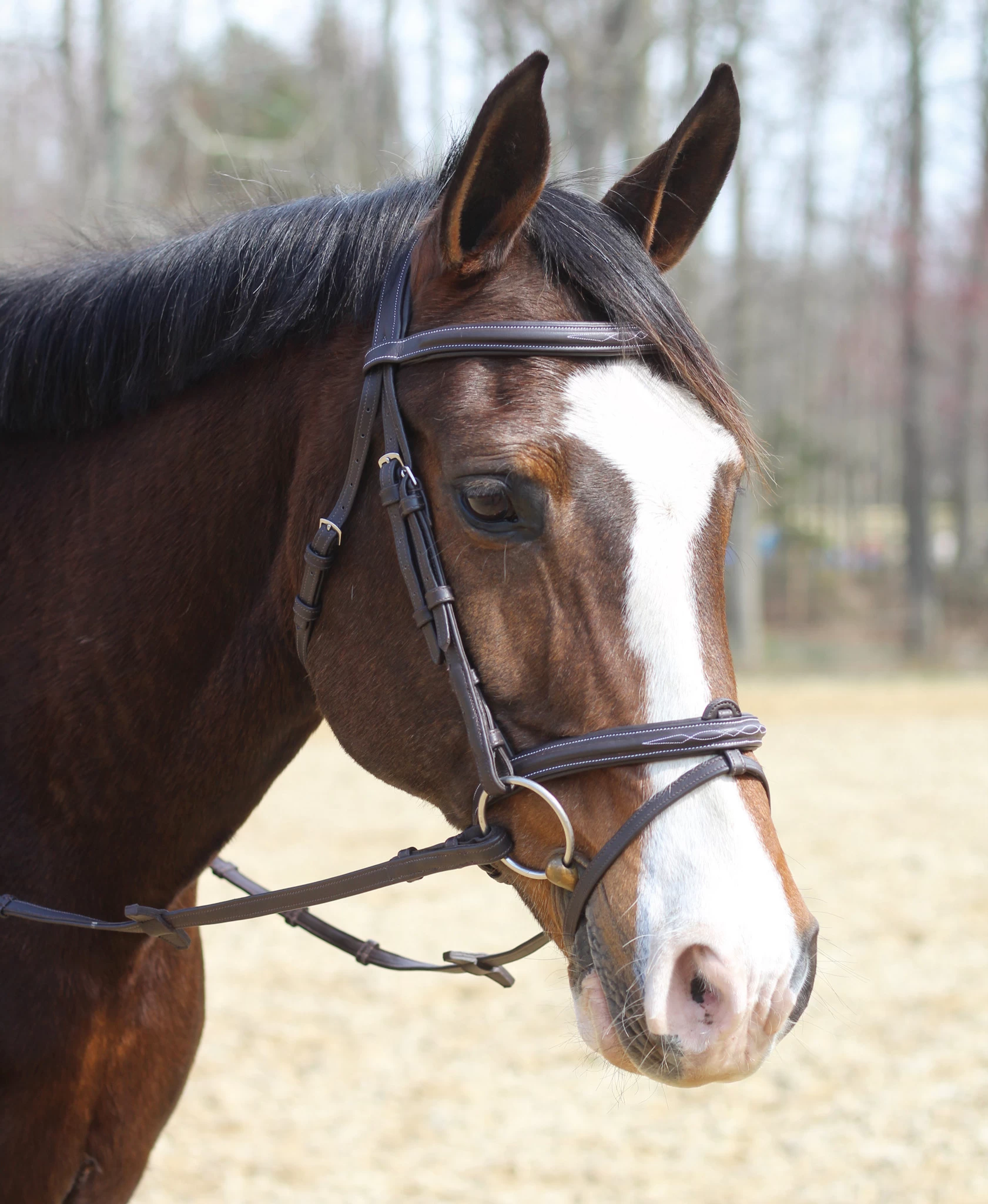 HDR Kushy Bridle With Detachable Flash 2 HDR Kushy Bridle With Detachable Flash - Image 2