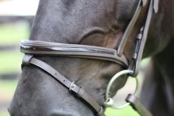 HDR Mono Crown Bridle W/Patent Leather Flash Nose Band -Equestrian Discount Store 2489 04C black lyf detail 2 30745.1621013398