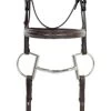 Ovation Classic Collection - Fancy Round Raised Wide Nose Comfort Crown Padded Bridle With Fancy Raised Laced Reins
