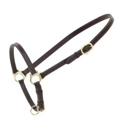 Ovation Traditional Leather Grooming Halter