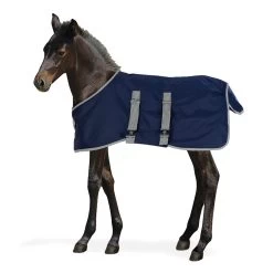 Centaur® 600D Foal Turnout Blanket - 200g