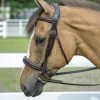 HDR Pro Monocrown Padded Wide Noseband Bridle