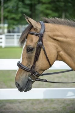 HDR Pro Monocrown Padded Wide Noseband Bridle