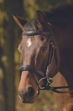 HDR Raised Padded Dressage Bridle W/Jawband Crank & Flash