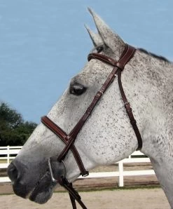 HDR Pro Mono Crown Padded Bridle With Laced Reins