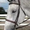 HDR Pro Mono Crown Fancy Padded Bridle