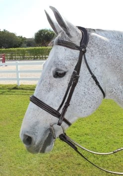 HDR Pro Mono Crown Fancy Bridle With Patent Leather Piping