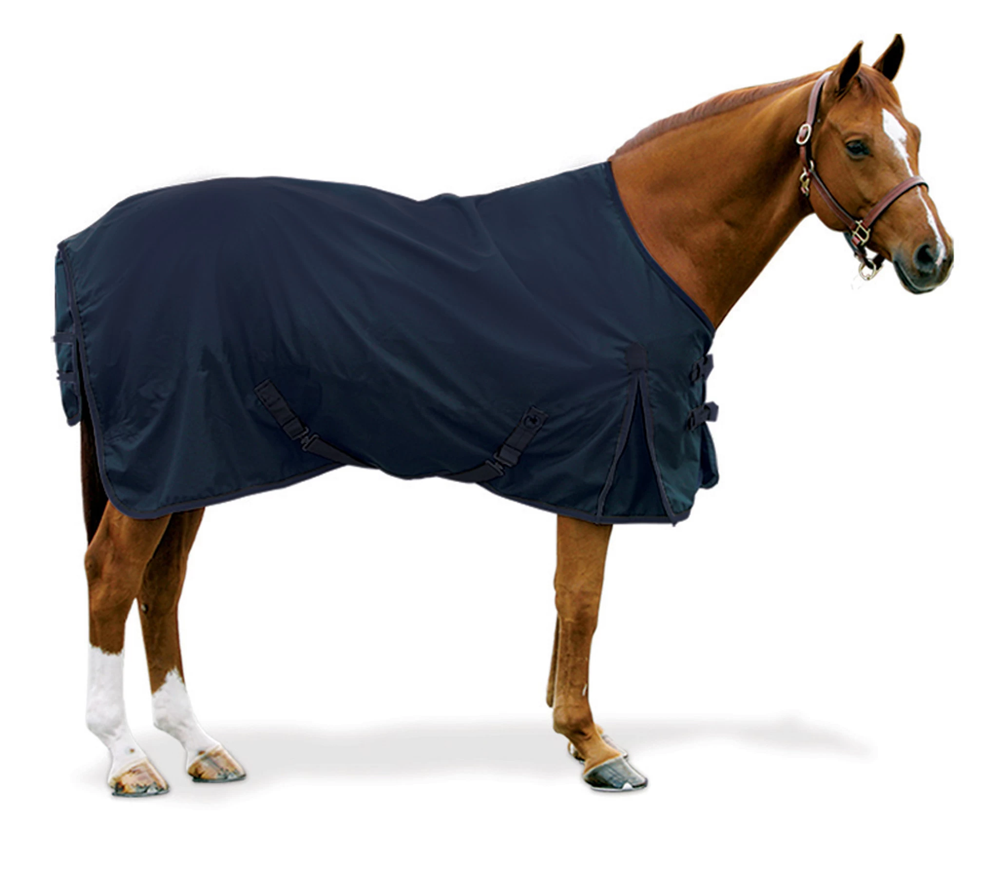 Equi-Essentials™ 600D Turnout Blanket 180g 1 Equi-Essentials™ 600D Turnout Blanket 180g