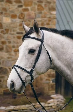 HDR Padded Dressage Bridle