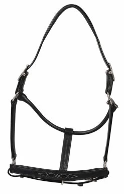 HDR Fancy Padded Rolled Throat Triple Stitched Halter 6 HDR Fancy Padded Rolled Throat Triple Stitched Halter -Equestrian Discount Store HDR Fancy Padded Rolled Throat Triple Stitched Halter black 36217.1484850998