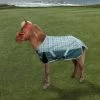 TuffRider 1200D Miniature Horse Turnout Blanket