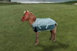 TuffRider 1200D Miniature Horse Turnout Blanket