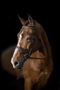 Pessoa® PRO Fancy Stitched Wide Noseband Bridle