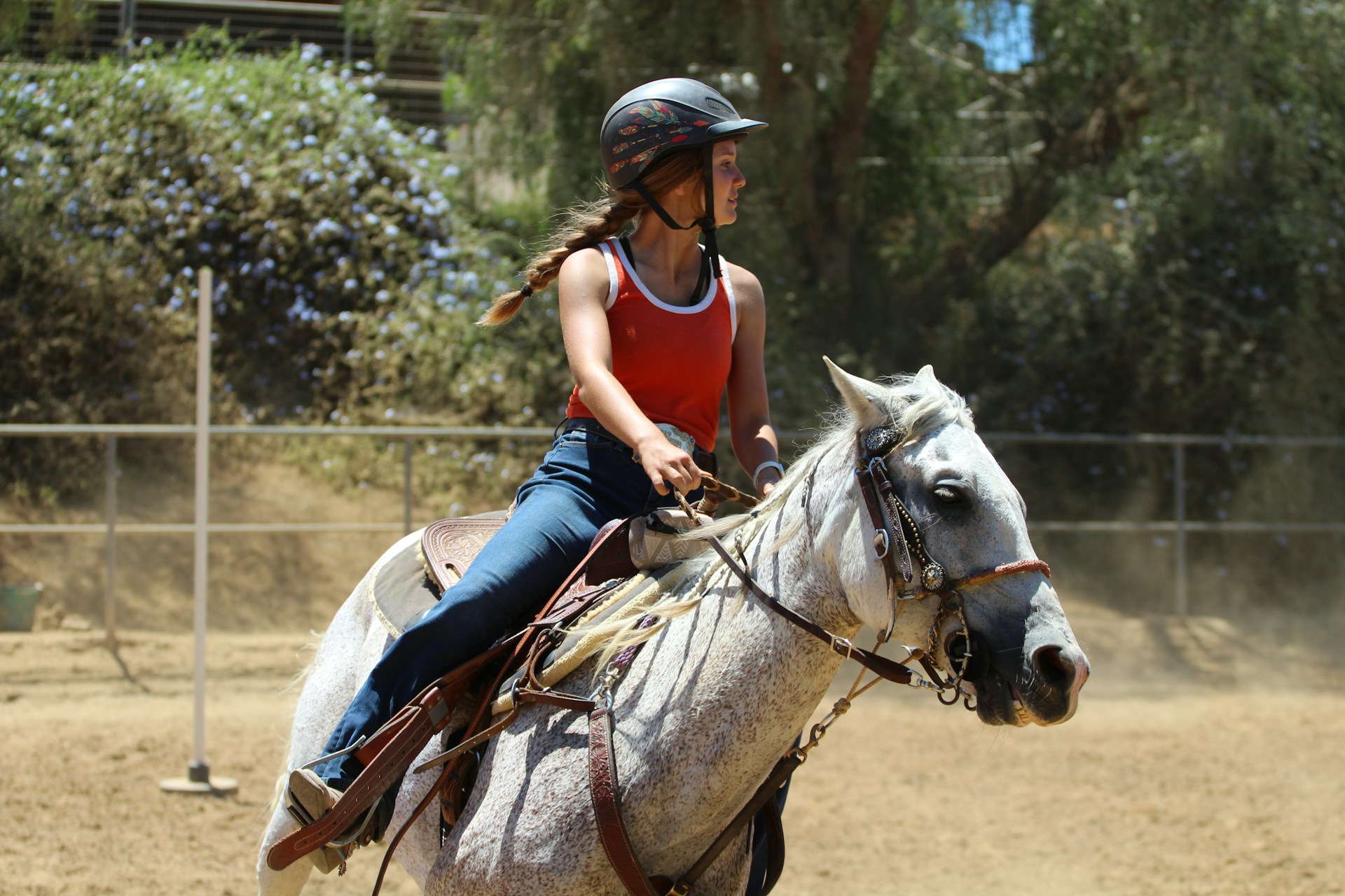 Front Page 1 Front Page -Equestrian Discount Store christine benton FPIYQDMETJA unsplash