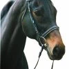 HDR Dressage Bridle With Web Reins