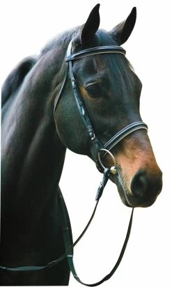 HDR Dressage Bridle With Web Reins