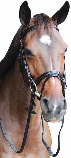 HDR Mono Crown Bridle W/Patent Leather Flash Nose Band -Equestrian Discount Store monocrown bridle flash patent leather browband2 18119.1517527420