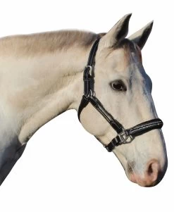 HDR Padded Jewel Halter