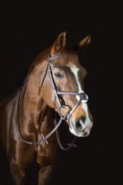 Pessoa® PRO Fancy Stitched Figure-8 Bridle