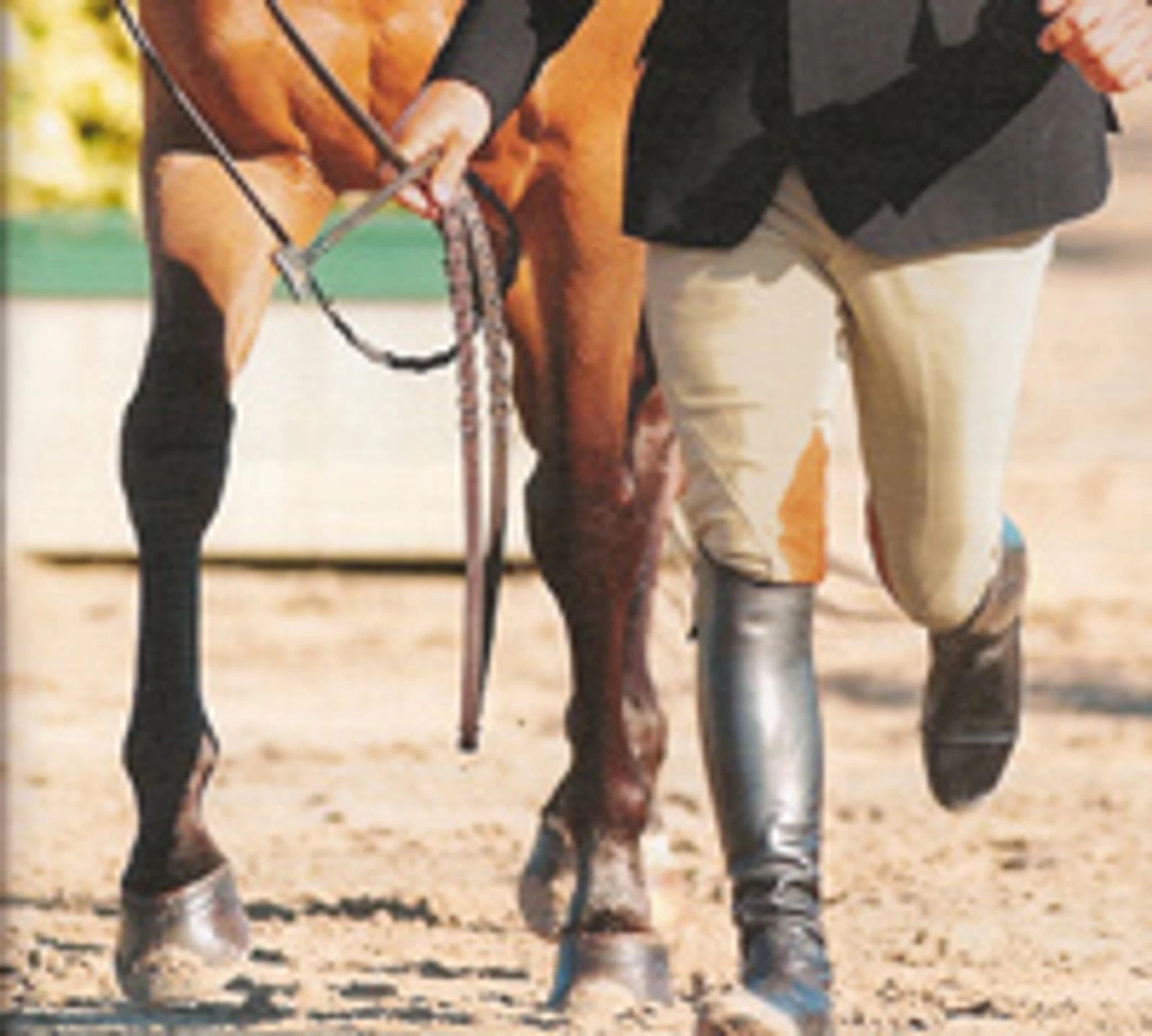 Tailored Sportsman Men's TS Breeches 2 Tailored Sportsman Men's TS Breeches - Image 2